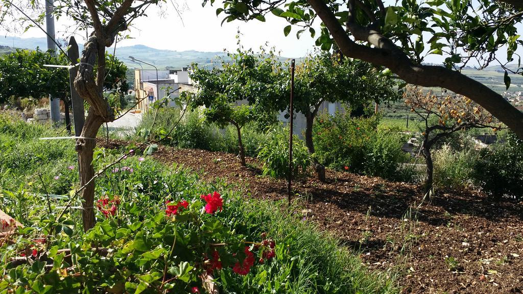 Sole E Fiori Di Sicilia Apartment Valderice Luaran gambar